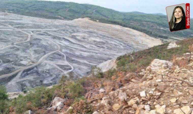 AKP'nin çevre bilançosu ağır: 2023 ekokırım yılı oldu