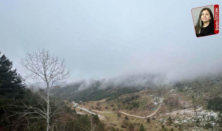 Koza Altın durmuyor