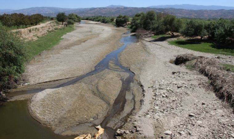 CHP'li Arpacı'dan iki bakana soru önergesi