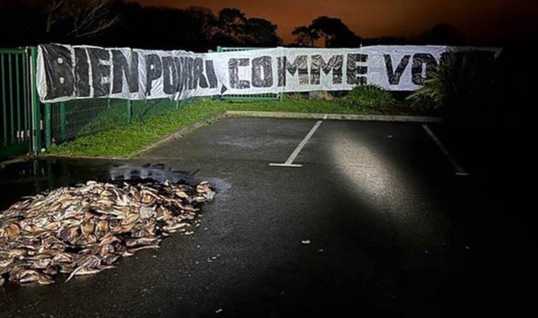 Taraftardan mağlubiyet tepkisi