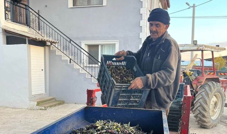 Salihli'de hasatta sona gelindi: Rekolte üzdü, fiyatlar sevindirdi