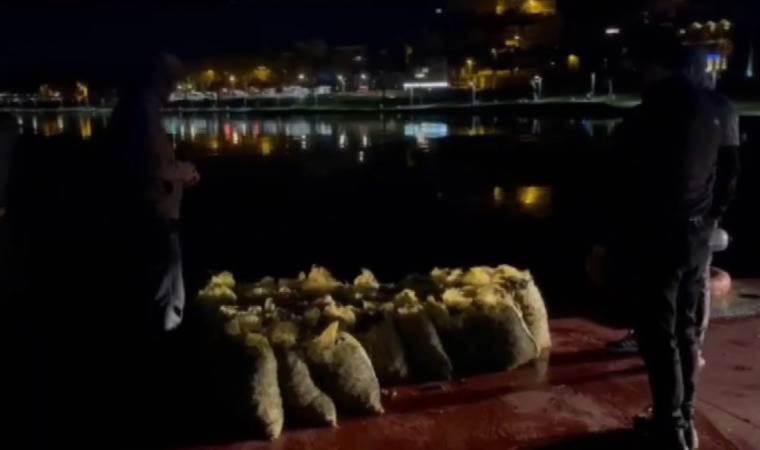 Sarıyer'de kaçak avlanan 1.5 ton midye denize döküldü