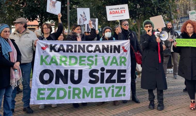 Hayvan hakları savunucuları Kadıköy’den seslendi: Katliama Hayır!