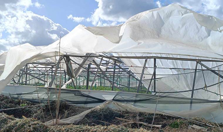 Hatay'da hortum paniği: Seralar yerle bir oldu