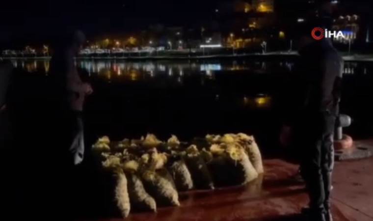 Sarıyer’de 4 buçuk ton kaçak midye ele geçirildi