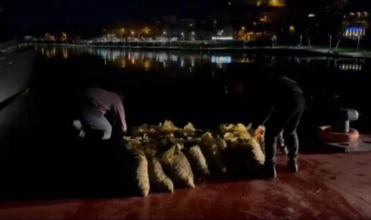 İstanbul'da kaçak midye avlayan 7 kişiye para cezası