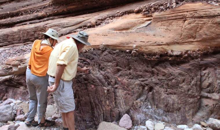 Bilim insanlarından çarpıcı keşif: