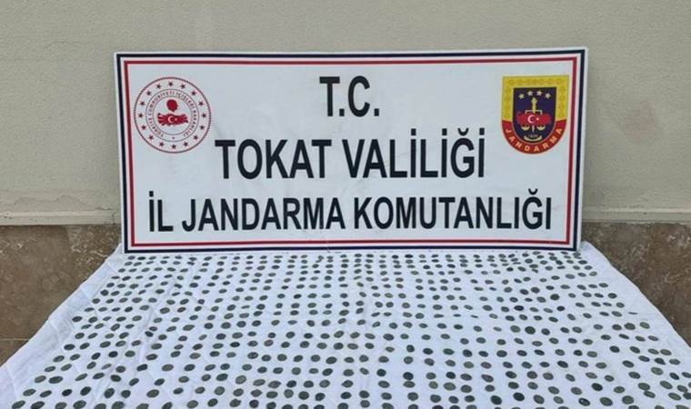 Tokat'ta tarihi eser operasyonu: 620 sikke ele geçirildi