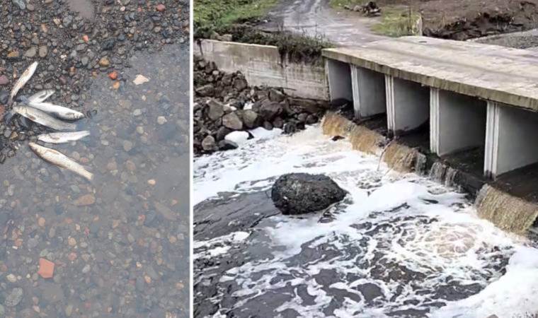 'Karar uygulanmalı'