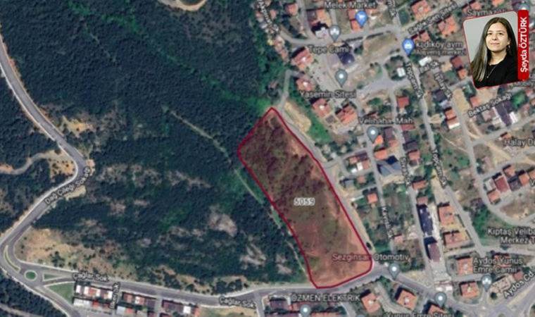 Velibaba Ormanı'nın bitişiğine konut onayı
