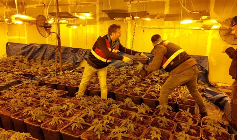 Fabrikaya uyuşturucu serası: Operasyonla yakalandılar