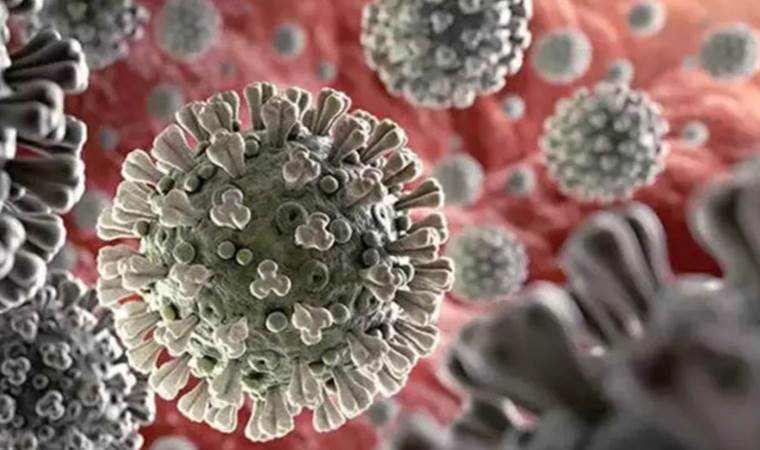 Uzmanından koronavirüse karşı ‘yılbaşı’ uyarısı: 'Yeni yılı çekirdek aile kutlayın'