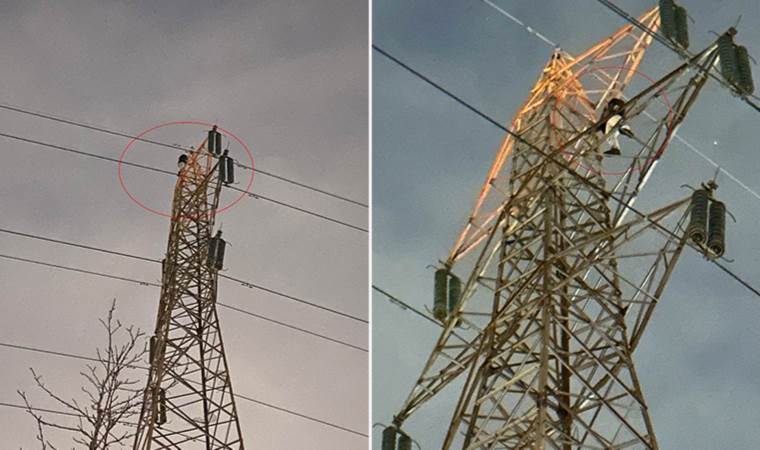 Yer Küçükçekmece... 50 metrelik elektrik direğine çıkıp kendini ihbar etti