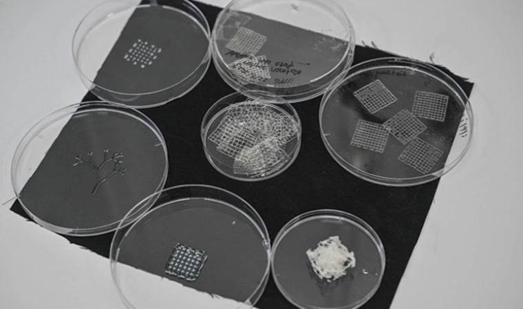 3 boyutlu biyoyazıcı ile yapay kulak zarı ve gırtlak yaması üretildi