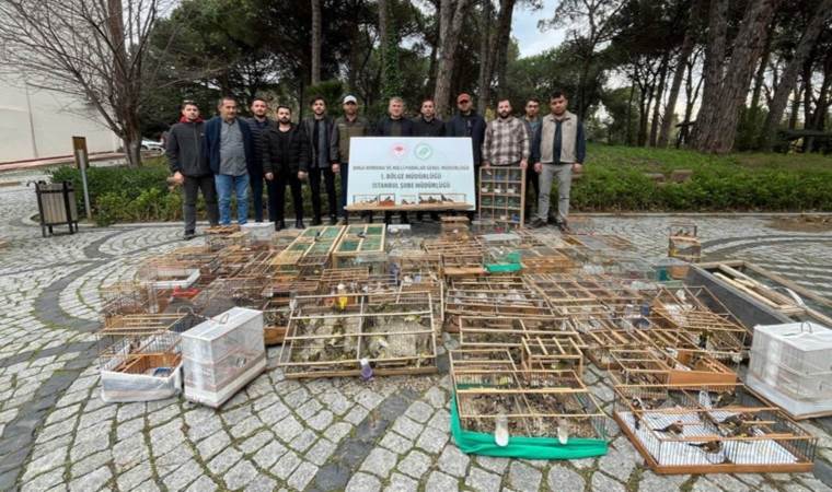 Avlanması yasak kuşları yakalayıp satanlara ceza yağdı