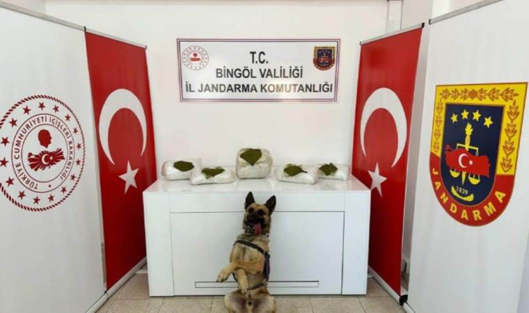 Bingöl’de toprağa gömülü uyuşturucu ele geçirildi