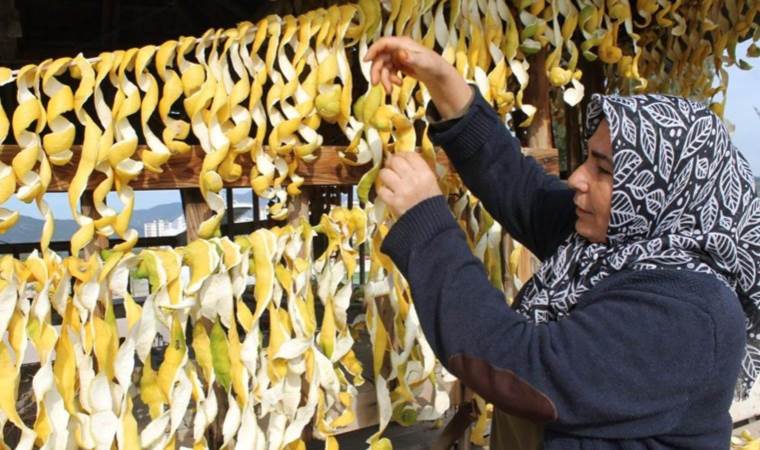 Kabuğu kendinden daha değerli! Kendisi 30 kuruş, kabuğu 17 lira!