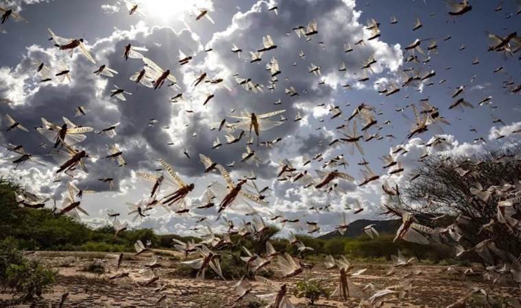 Türkiye'de ve dünyanın dört bir yanındalar...