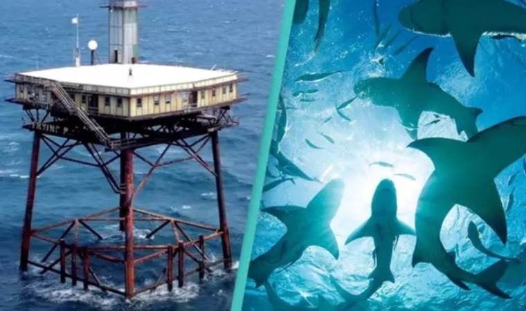 Helikopterle ulaşılabiliyor!