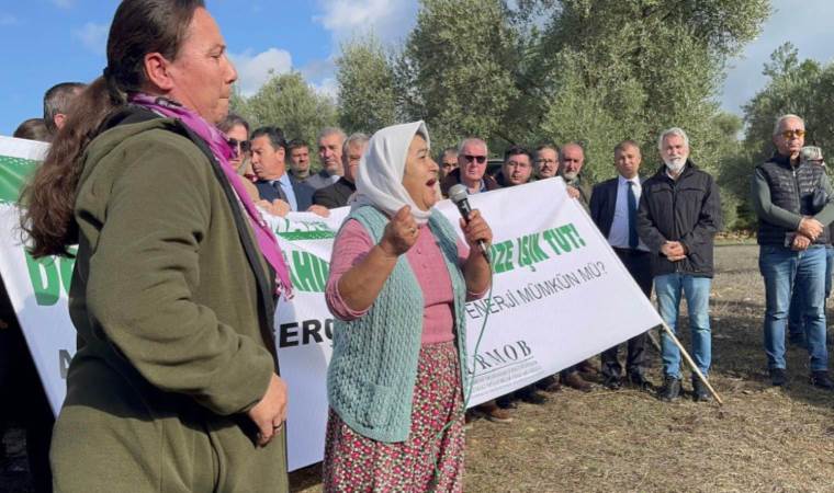 Akbelen Ormanı'nda direniş sürüyor: 'İnsanca yaşamak istiyoruz'