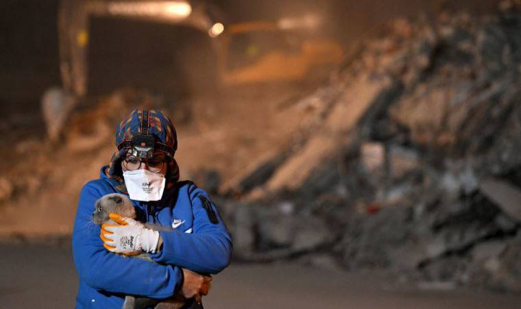 Hayvan hakları savunucusu PETA, Türkiye'ye bir ekip gönderdiğini duyurdu