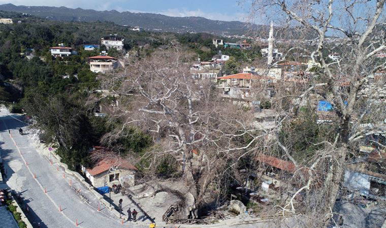 Tek kişinin burnu bile kanamadı... O köy depremi kayıpsız atlattı