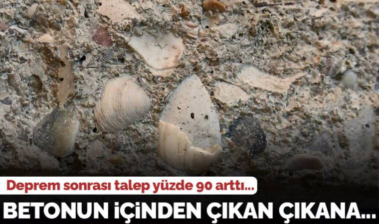 Deprem sonrası talep yüzde 90 arttı: Betonun içinden çıkan çıkana...