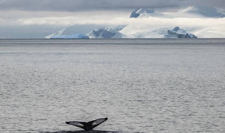 Antarktika'daki Kıyamet Buzulu'nun erimesi hızlanıyor