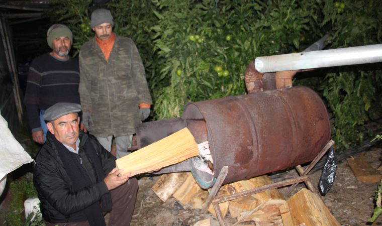 Antalya Kumluca'da seralarda 'don' nöbeti