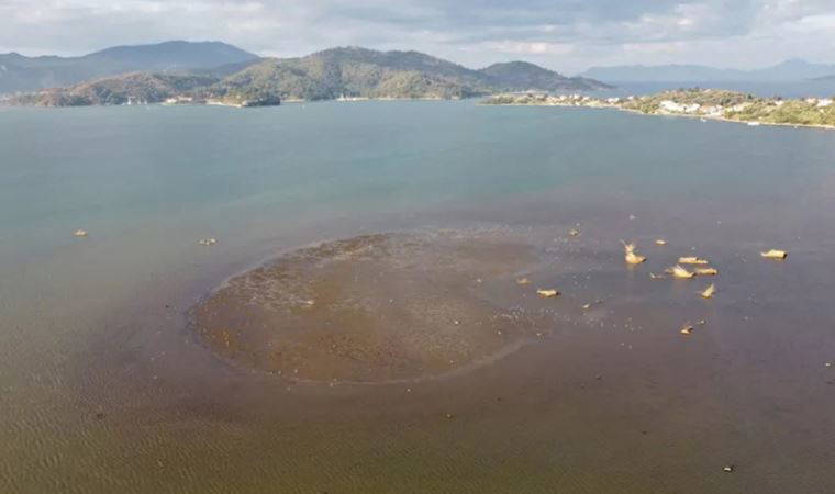 Uzmanlardan Ege Denizi'nde su çekilmesine ilişkin açıklama: 'Tamamen meteorolojik'