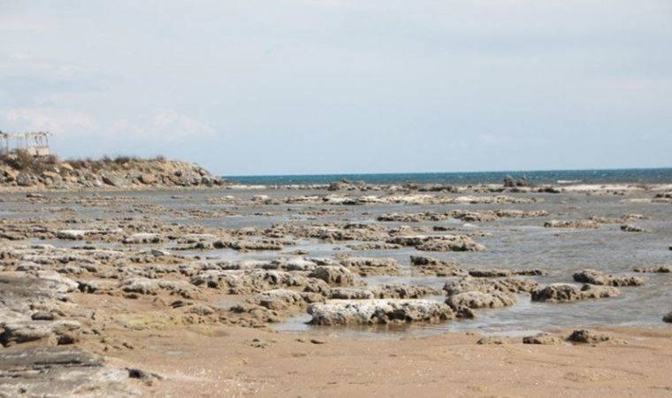 Deniz çekilmesi nedir, neden olur? Deniz çekilmesini etkileyen faktörler nelerdir?