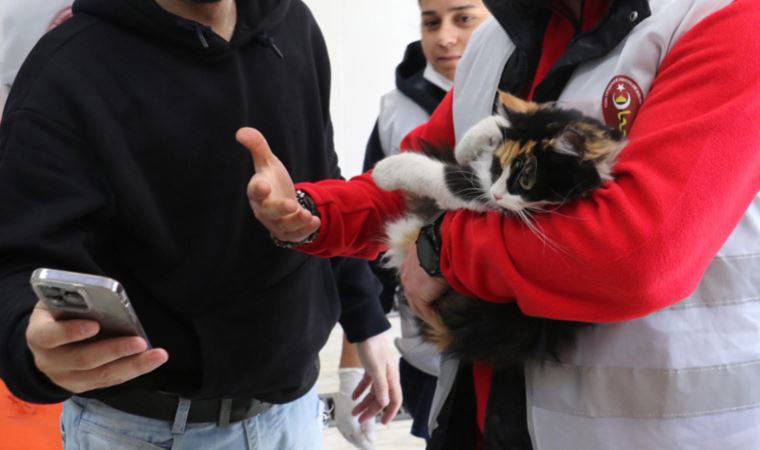 Kahramanmaraş'ta enkazdan kurtarılan 400 kedi ve köpek tedavi edildi
