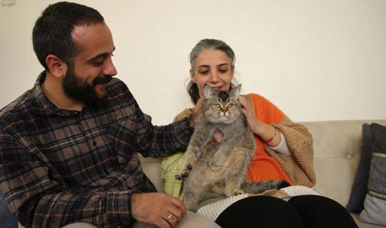 Siteden 16 gün sonra kurtarılan kedileri 'Pablo'ya kavuştular