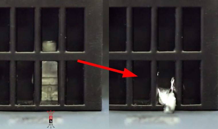 'Deniz patlıcanı'ndan geliştirildi...