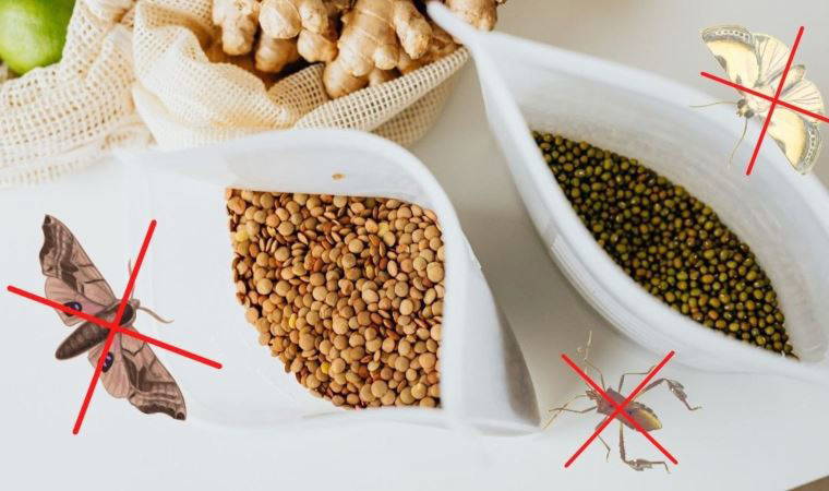 Yiyeceklerdeki güve ve böcek sorununu çözmenizi sağlayacak doğal yöntem