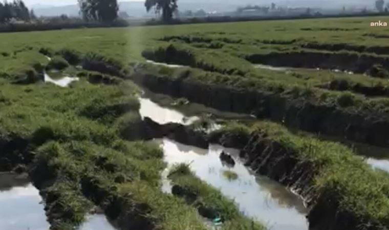 Antakya Ziraat Odası Başkanı: Asi Nehri yönünü değiştirdi