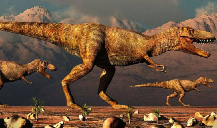 T-Rex gibi dinozorlar neden devasaydı?