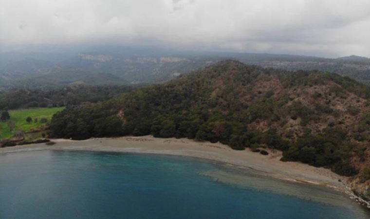 Bakanlık durmuyor... Phaselis antik kentini betona boğacak 'plaj' projesi!