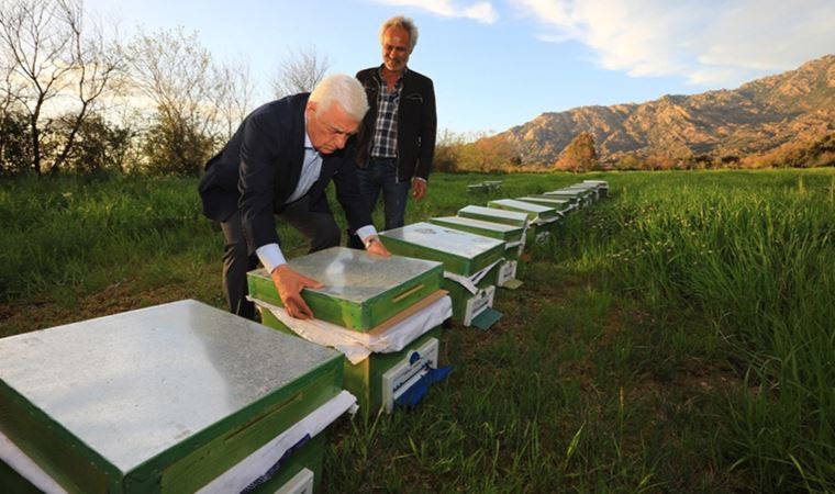 Muğlalı üreticiye ‘bal’ destek