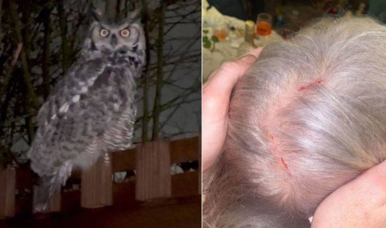 Evden çıkmaya korkuyorlar...