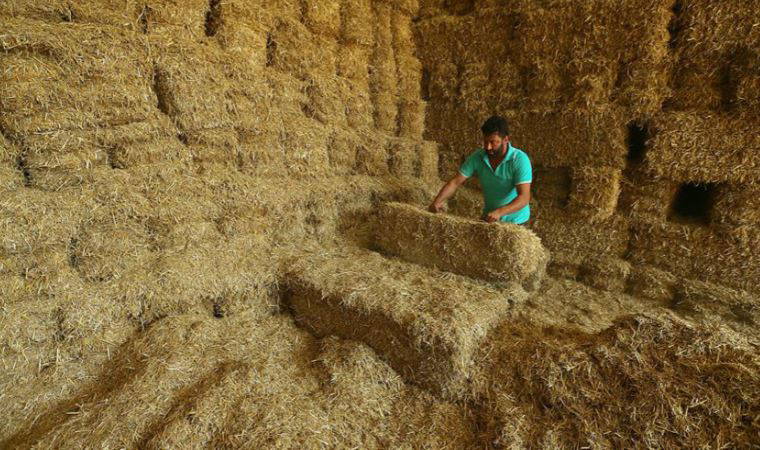 CHP'li Ömer Fethi Gürer: Saman fiyatları yüzde 133 arttı