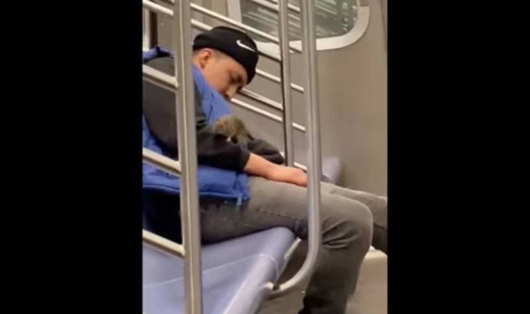 New York metrosunu fareler bastı