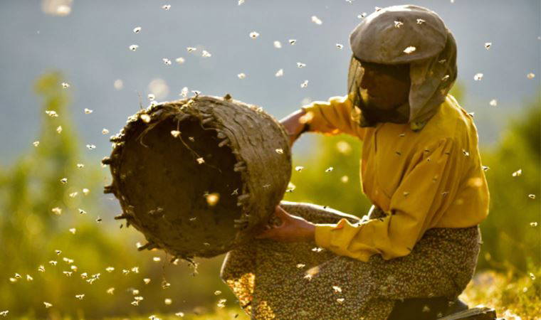 Selanik’te Gerçeklik Sanatı bölümü