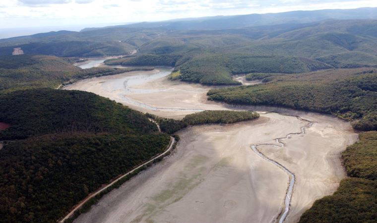 Prof. Dr. Tecer: 'Yağışlar yüzde 4 azaldı, sıcaklık 3 santigrat arttı'