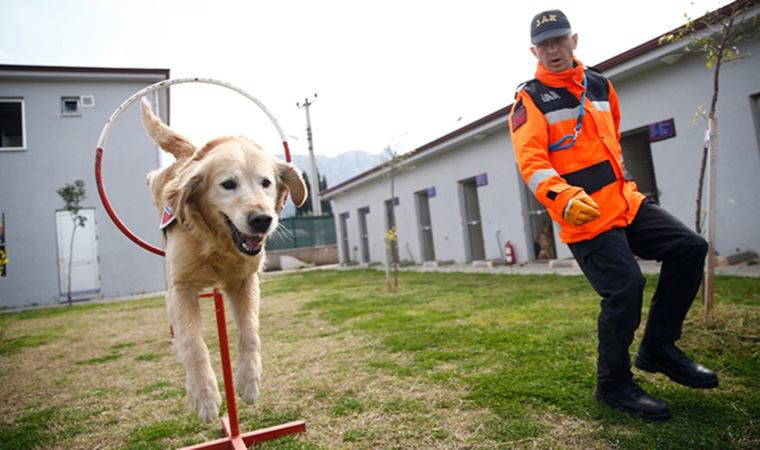 Arama kurtarma köpeği 'Ocak' 6 depremzedenin kahramanı oldu