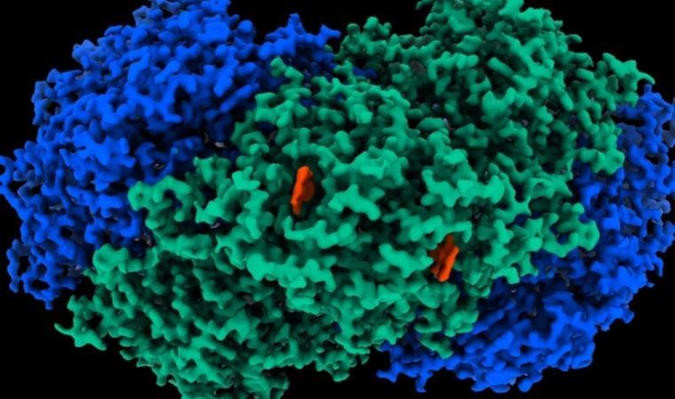 Havayı elektriğe çevirebilen yeni bir enzim keşfedildi