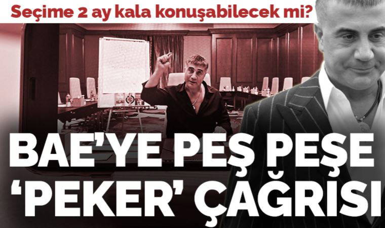 Gelecek Partili Özdağ ve Memleket Partili İnce'den BAE'ye 'Sedat Peker' çağrısı