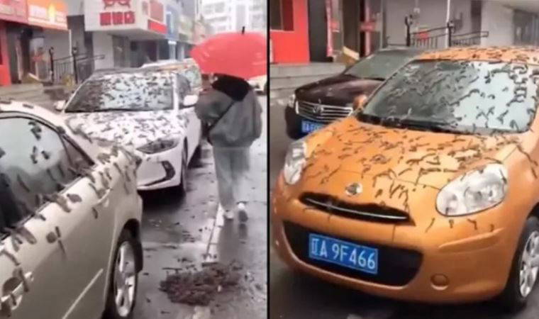 'Görüntüler tartışma yarattı...'