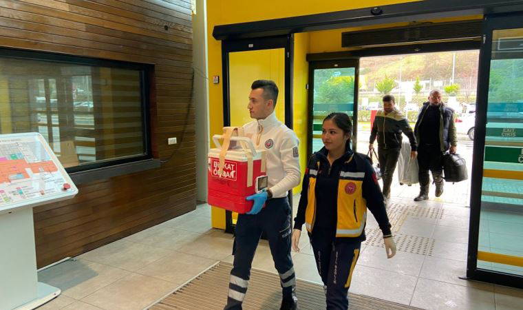 Hayatını kaybeden şahsın organları 3 hastaya umut oldu