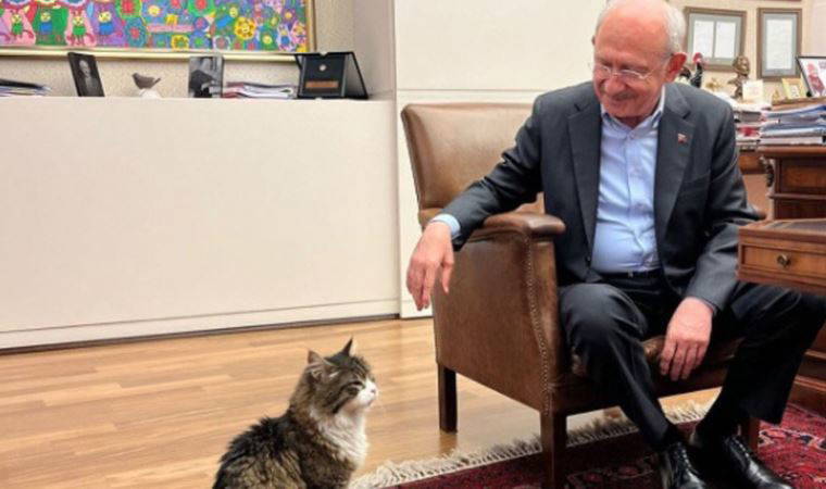 'Yaş mamayı lüks olmaktan çıkaracağım'